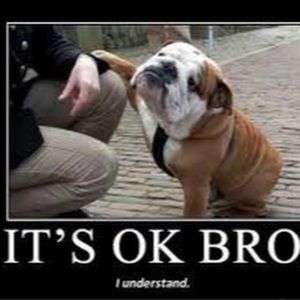 Meet your Posher, Lorenzo